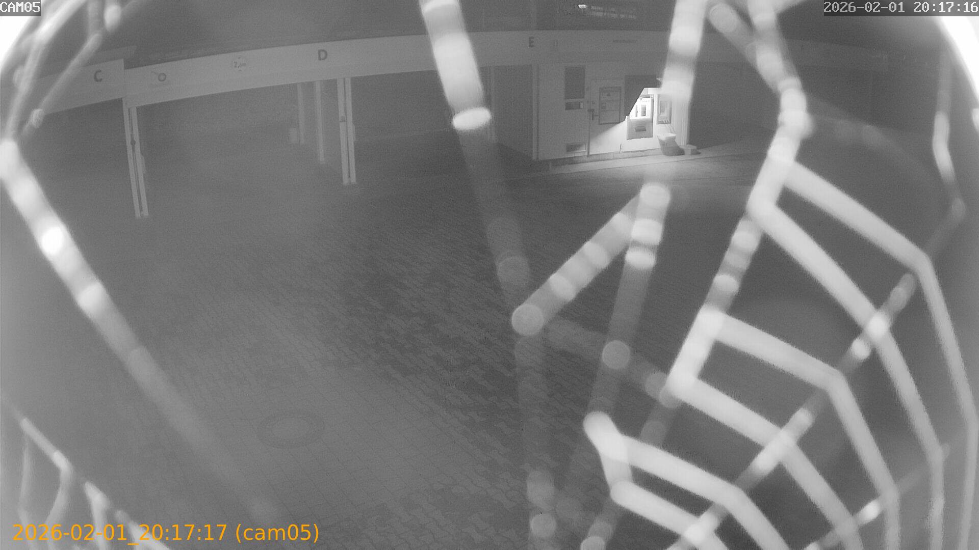 thumbnail_20260201201717