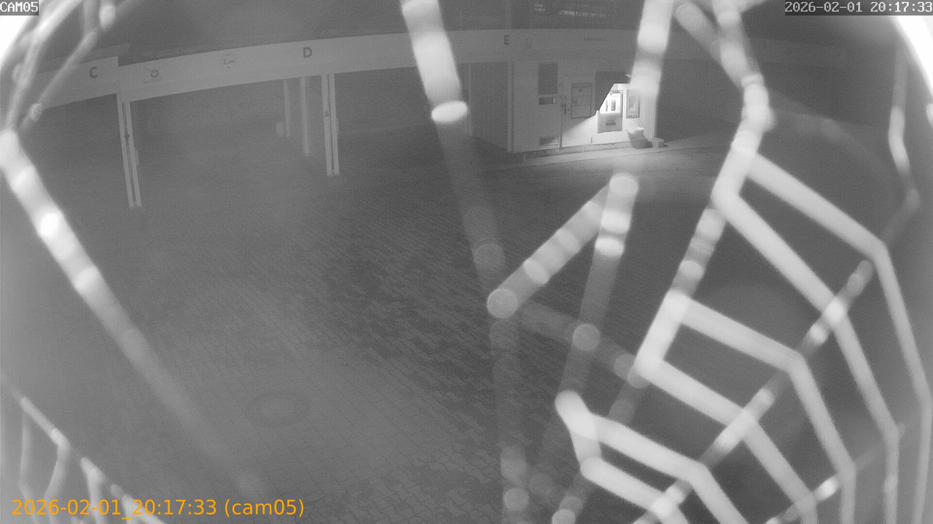 thumbnail_20260201201733