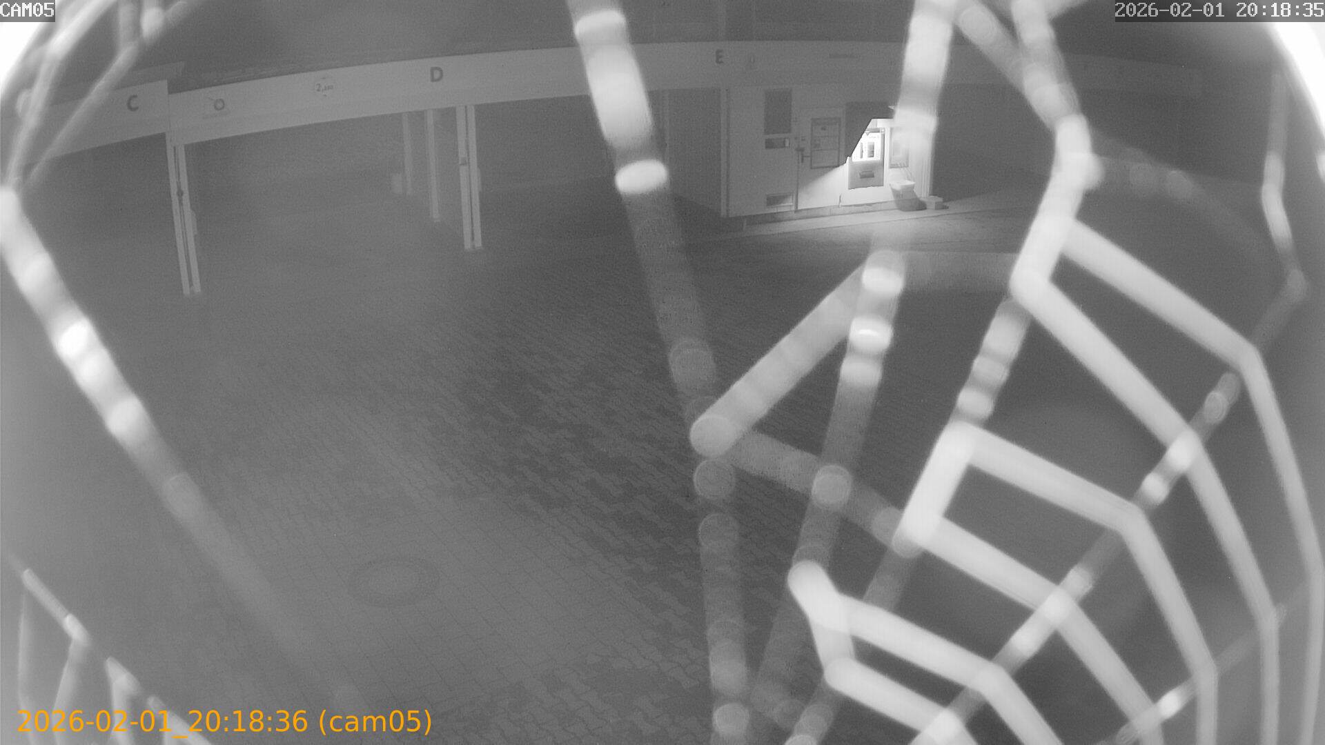 thumbnail_20260201201836