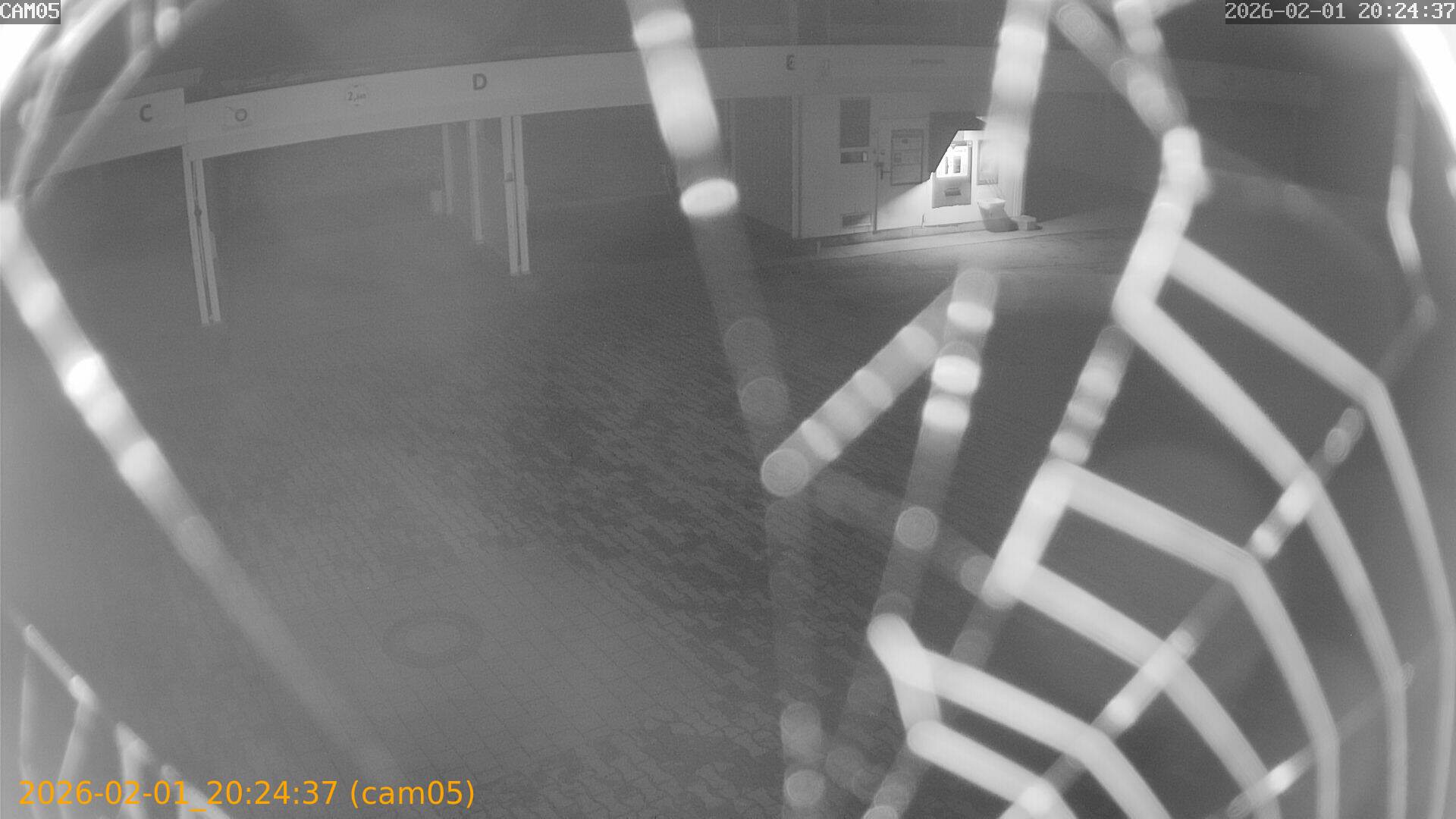 thumbnail_20260201202437