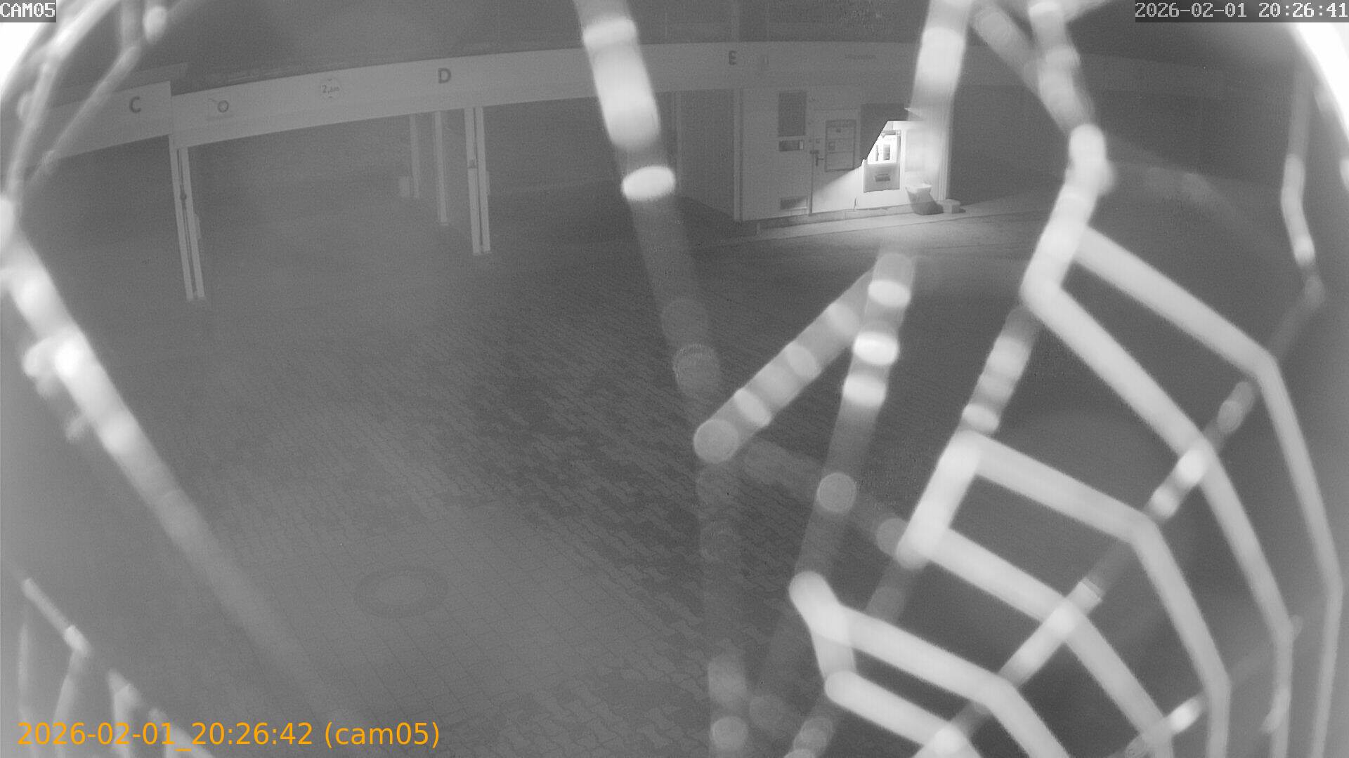 thumbnail_20260201202642