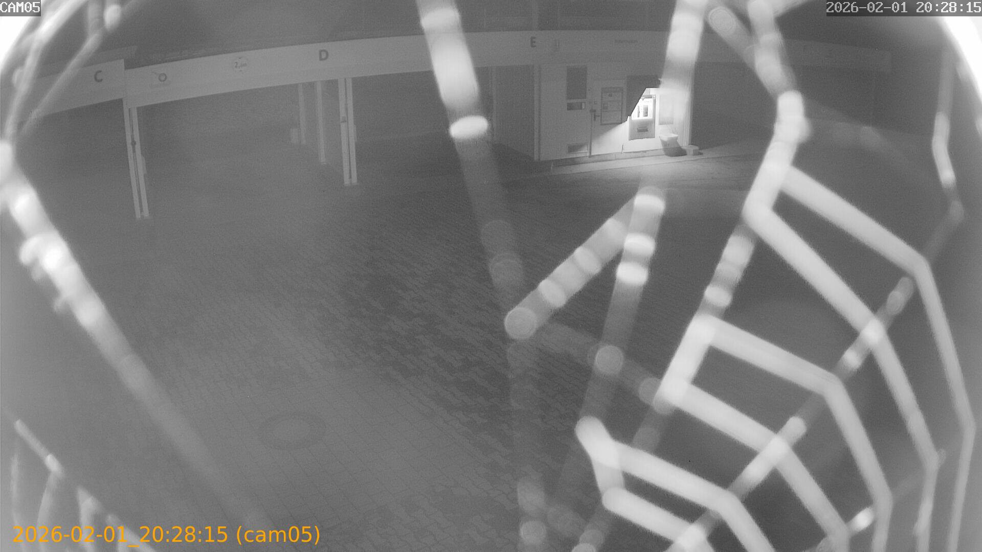 thumbnail_20260201202815