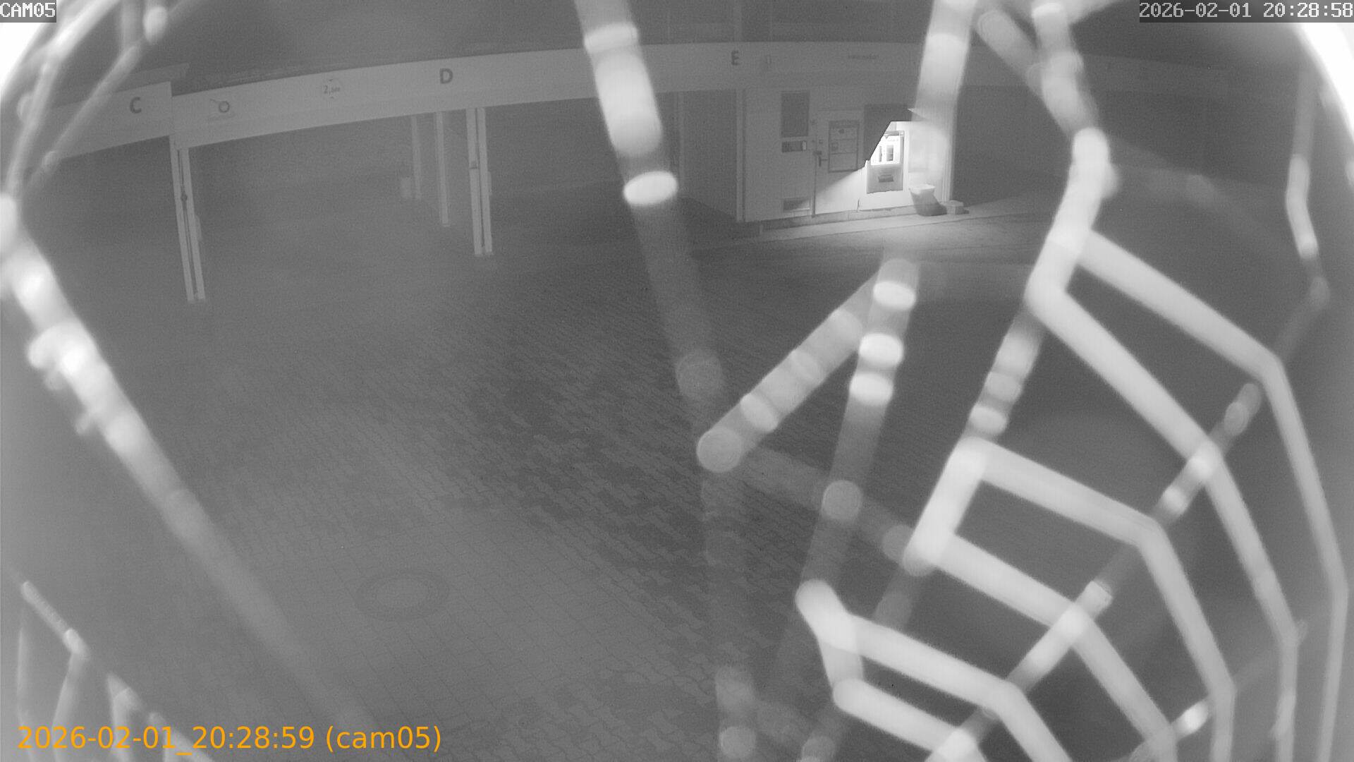 thumbnail_20260201202859