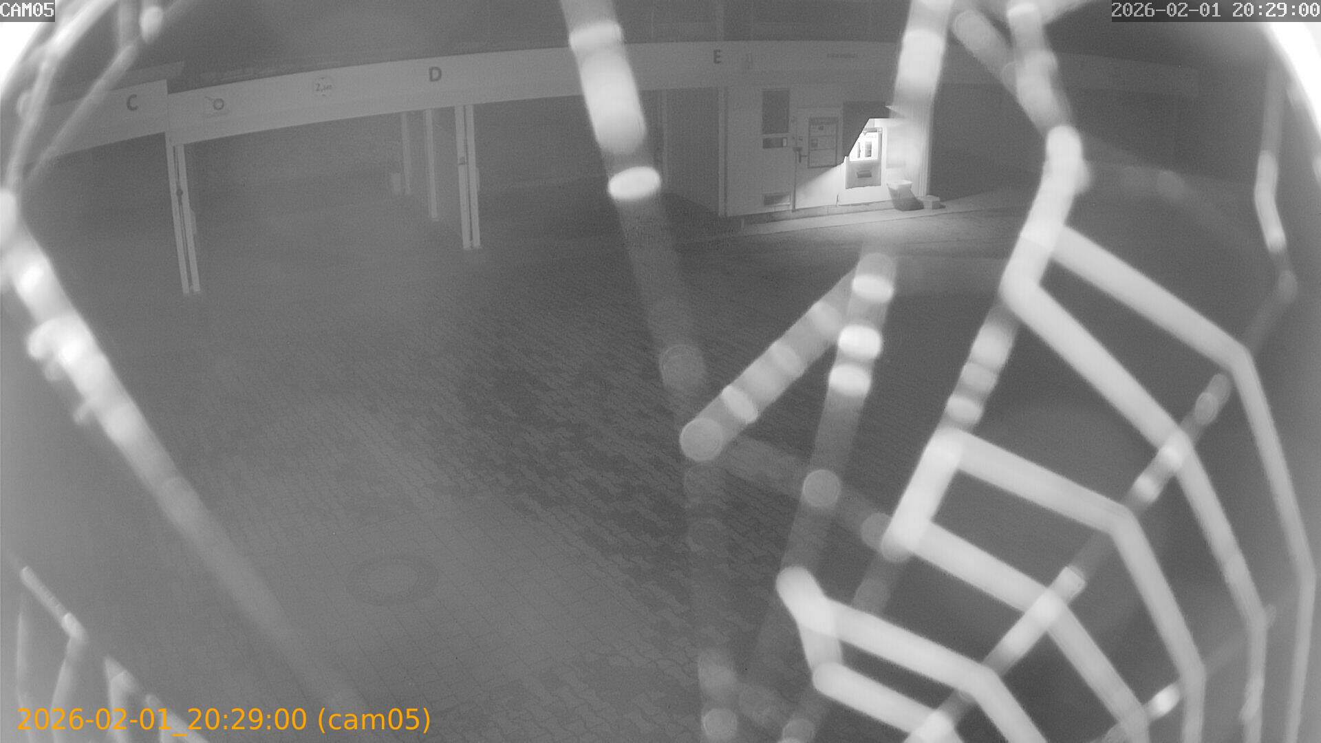 thumbnail_20260201202900