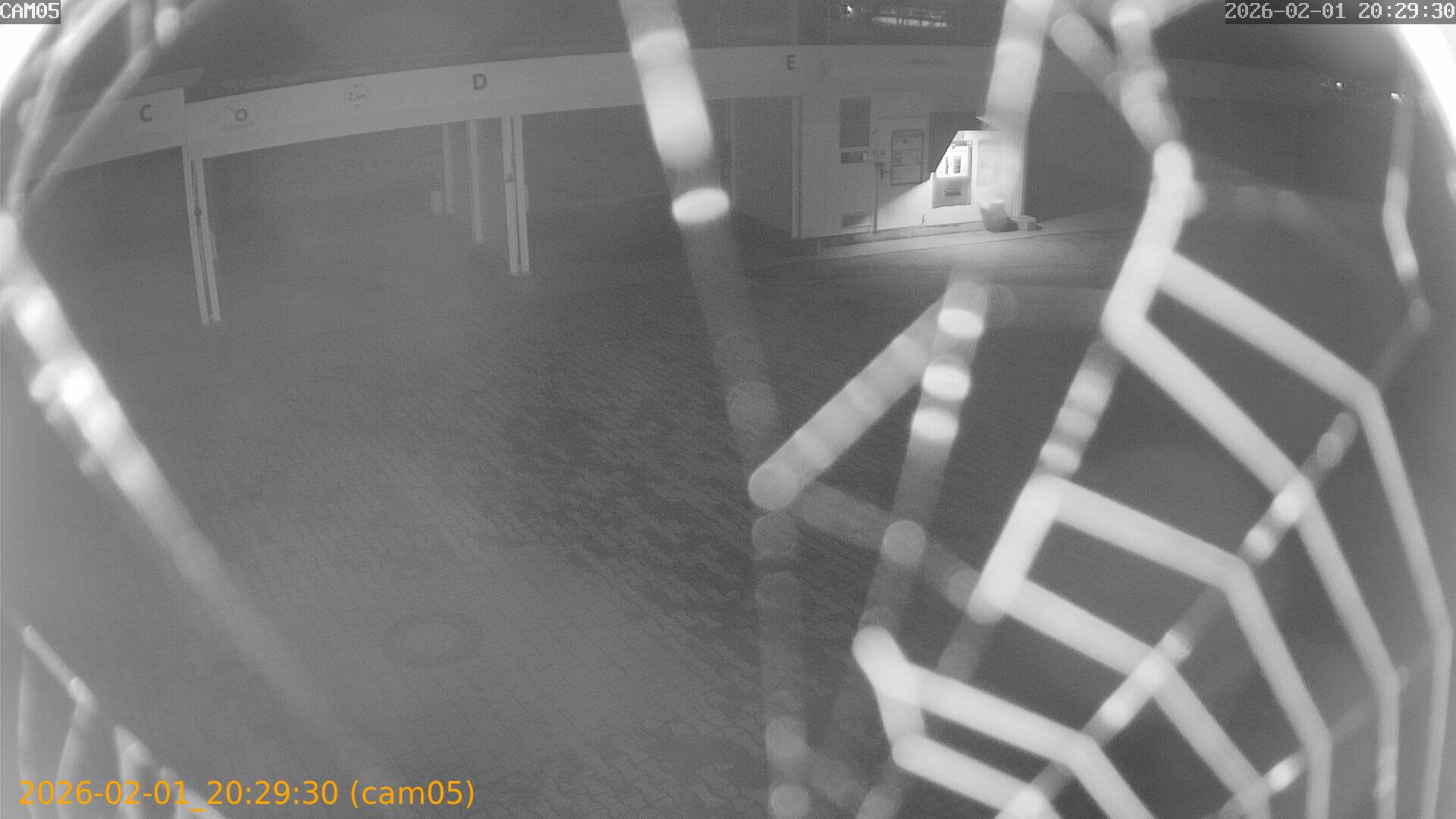 thumbnail_20260201202930