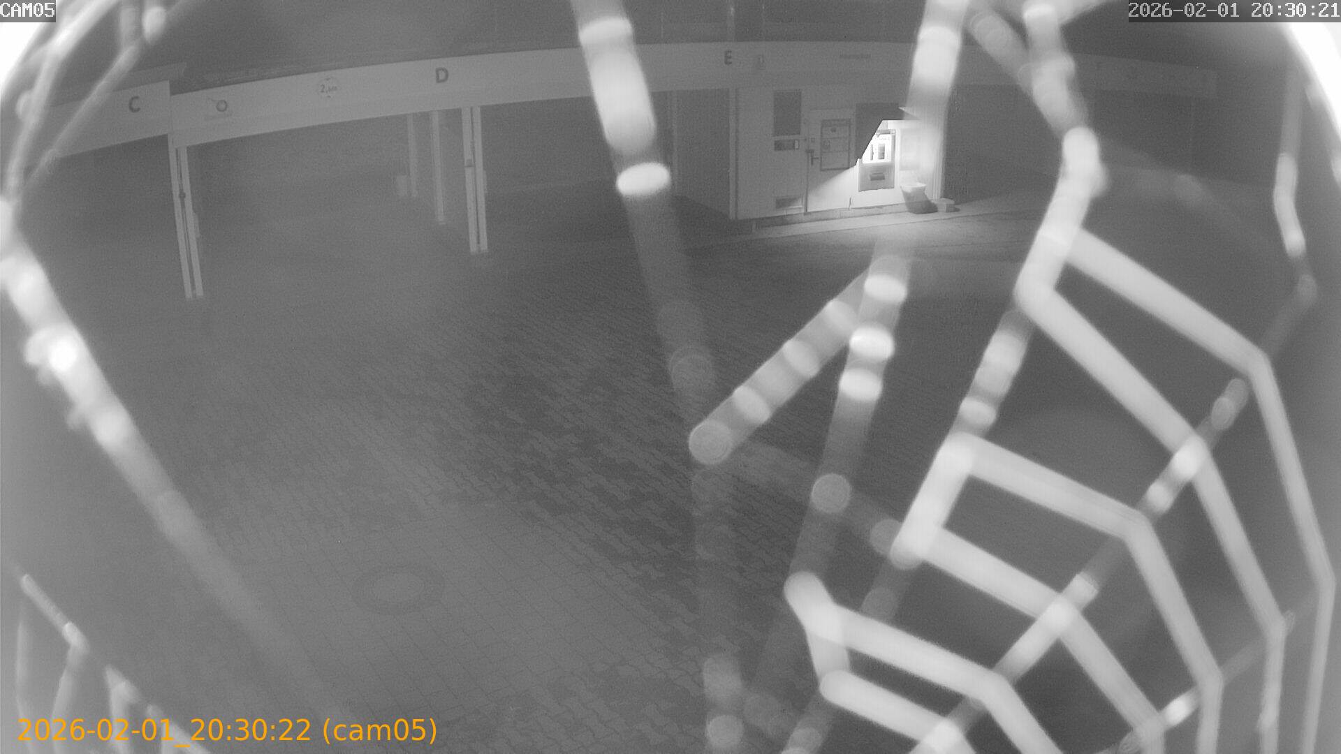 thumbnail_20260201203022