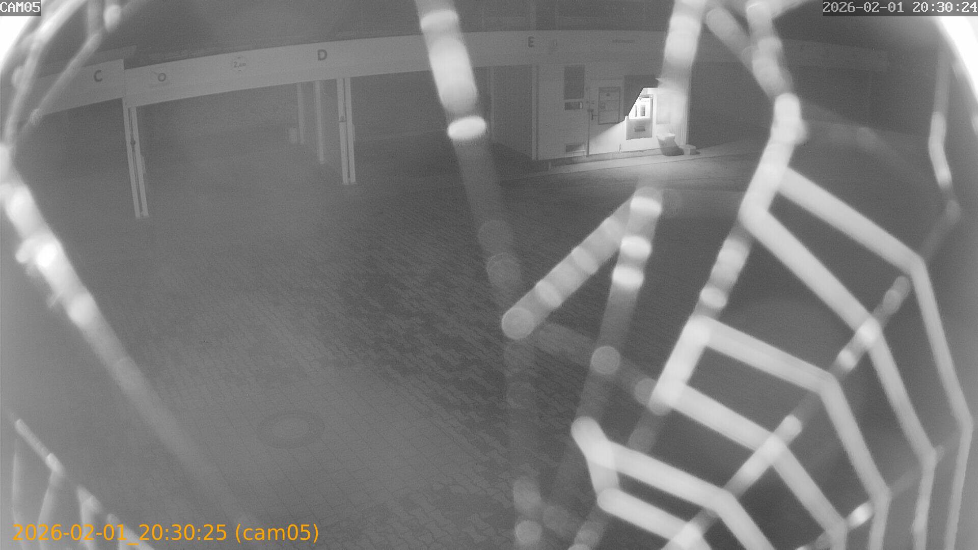 thumbnail_20260201203025