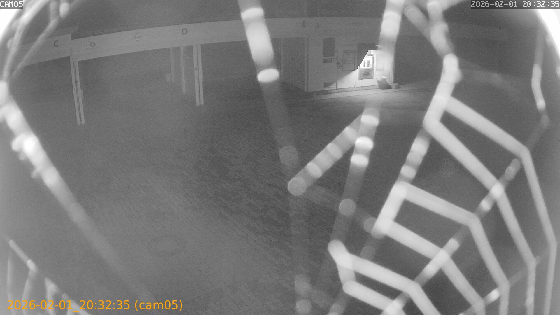 thumbnail_20260201203235