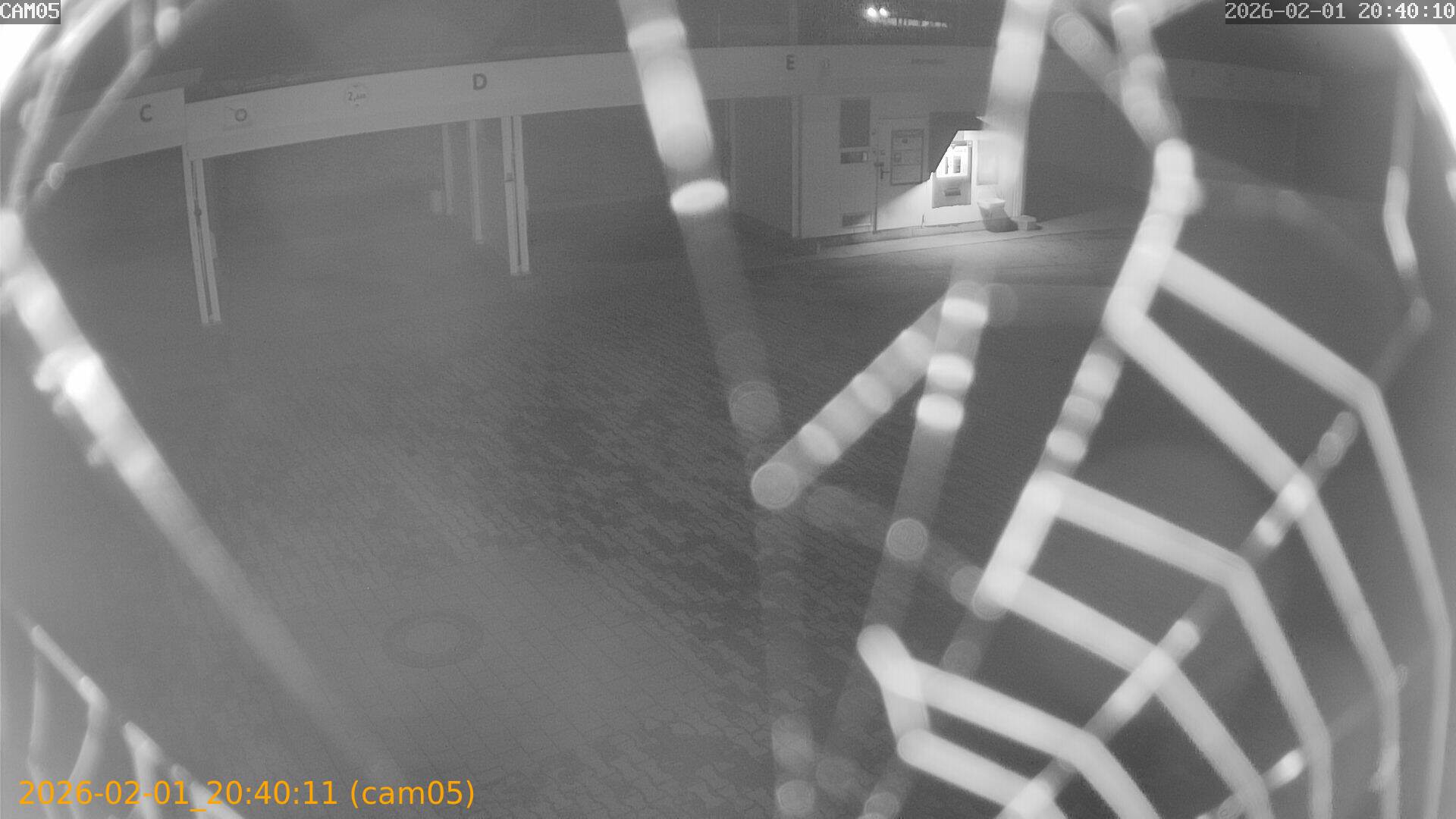 thumbnail_20260201204011