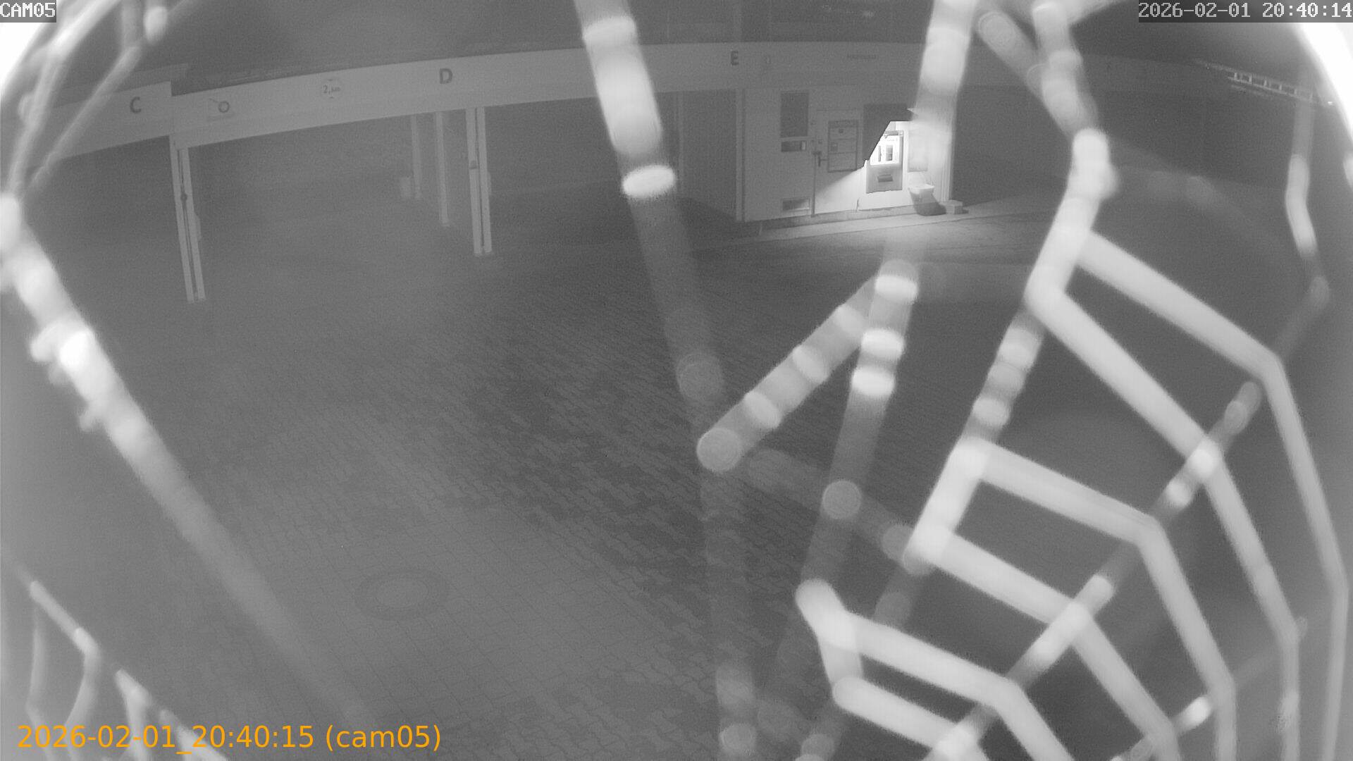 thumbnail_20260201204015