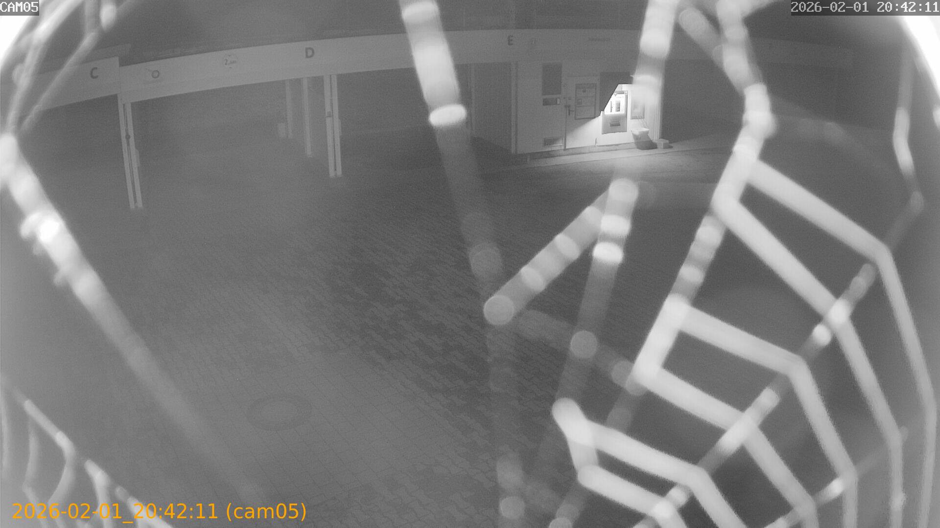 thumbnail_20260201204211