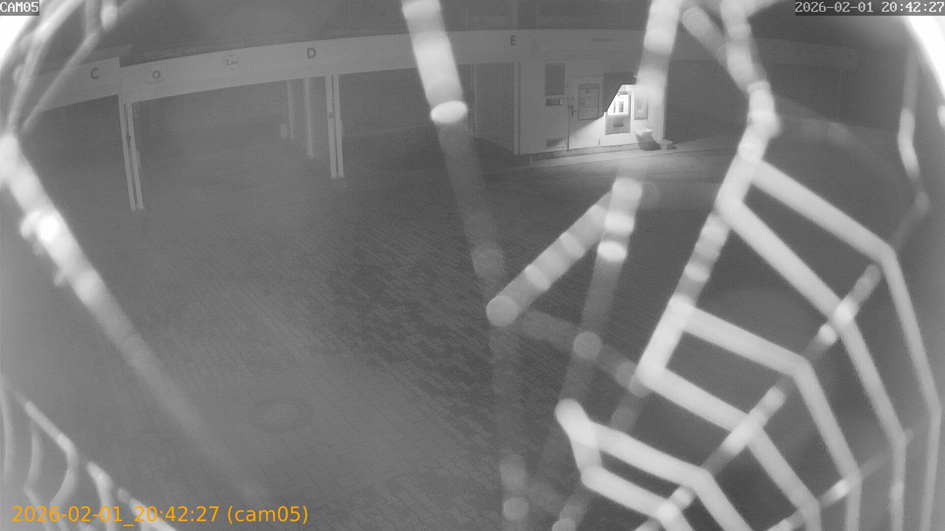 thumbnail_20260201204227