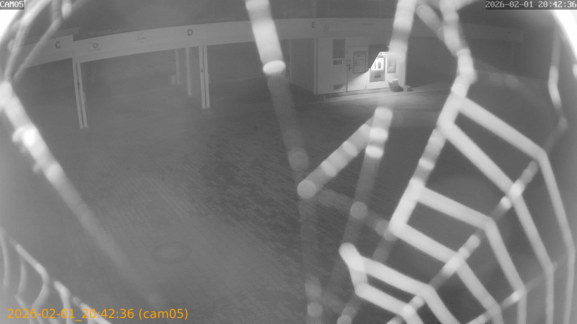 thumbnail_20260201204236