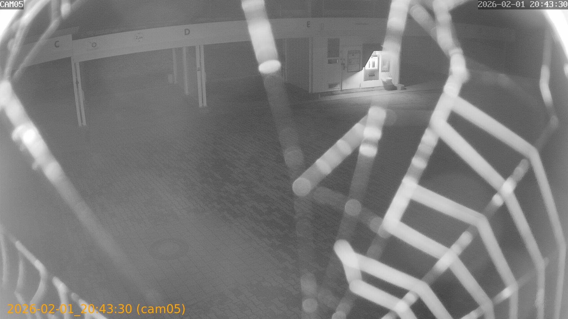 thumbnail_20260201204330