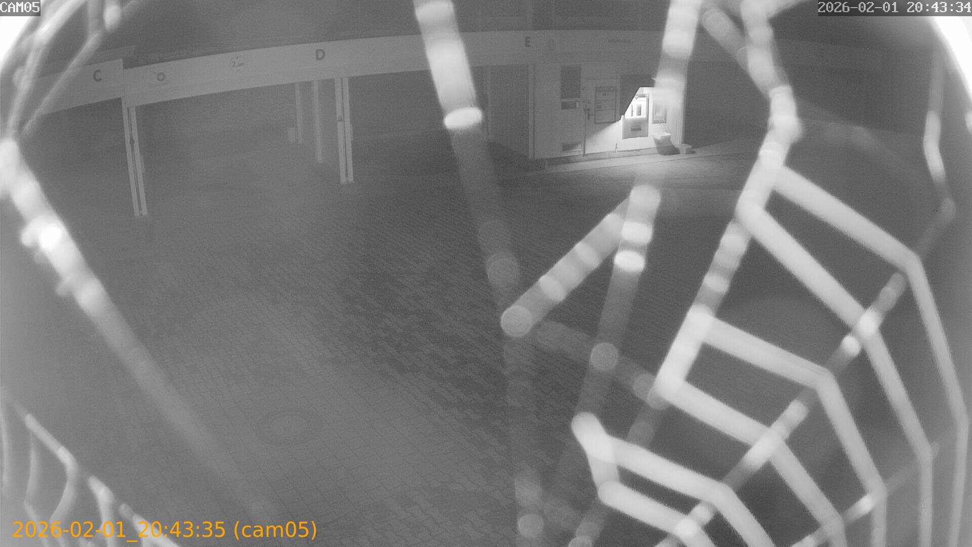 thumbnail_20260201204334