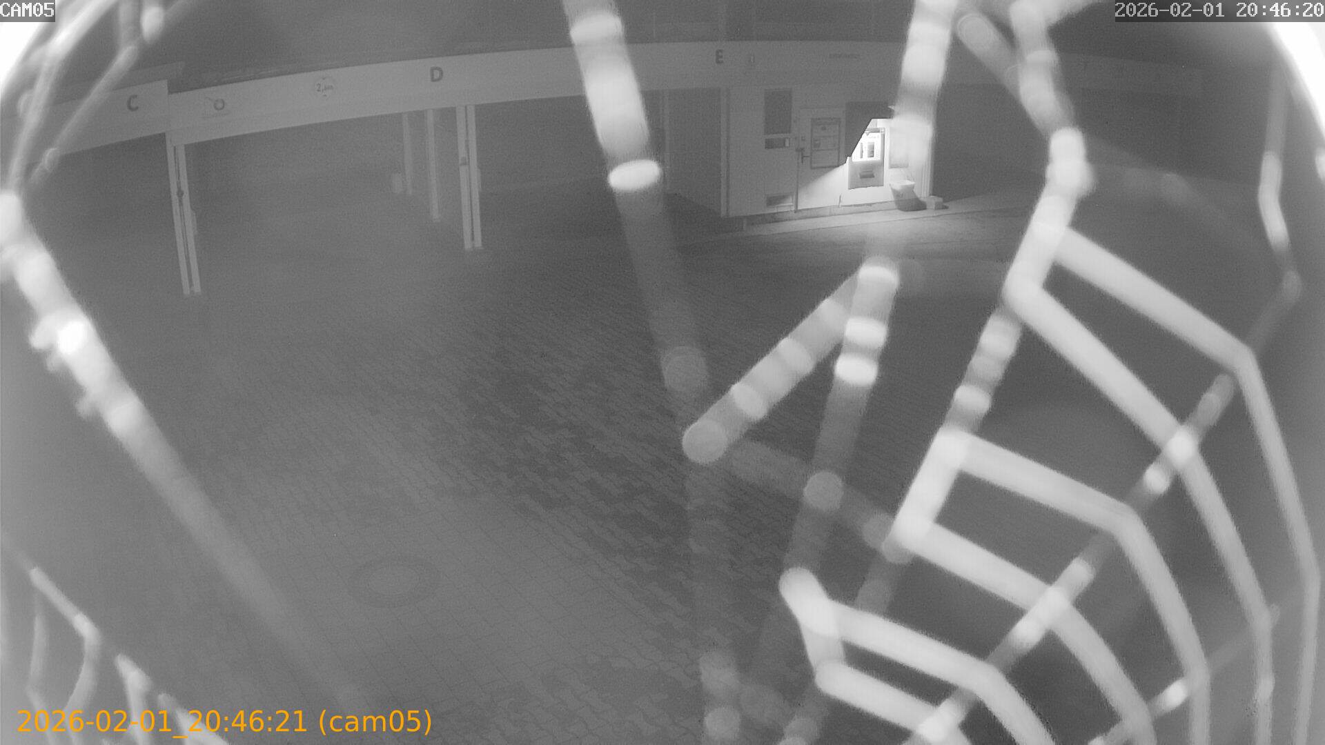 thumbnail_20260201204621