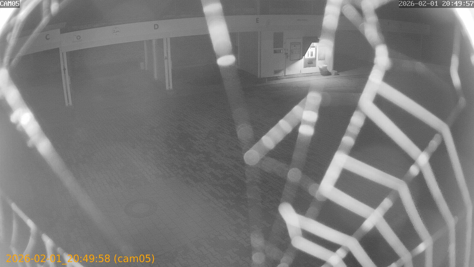 thumbnail_20260201204958