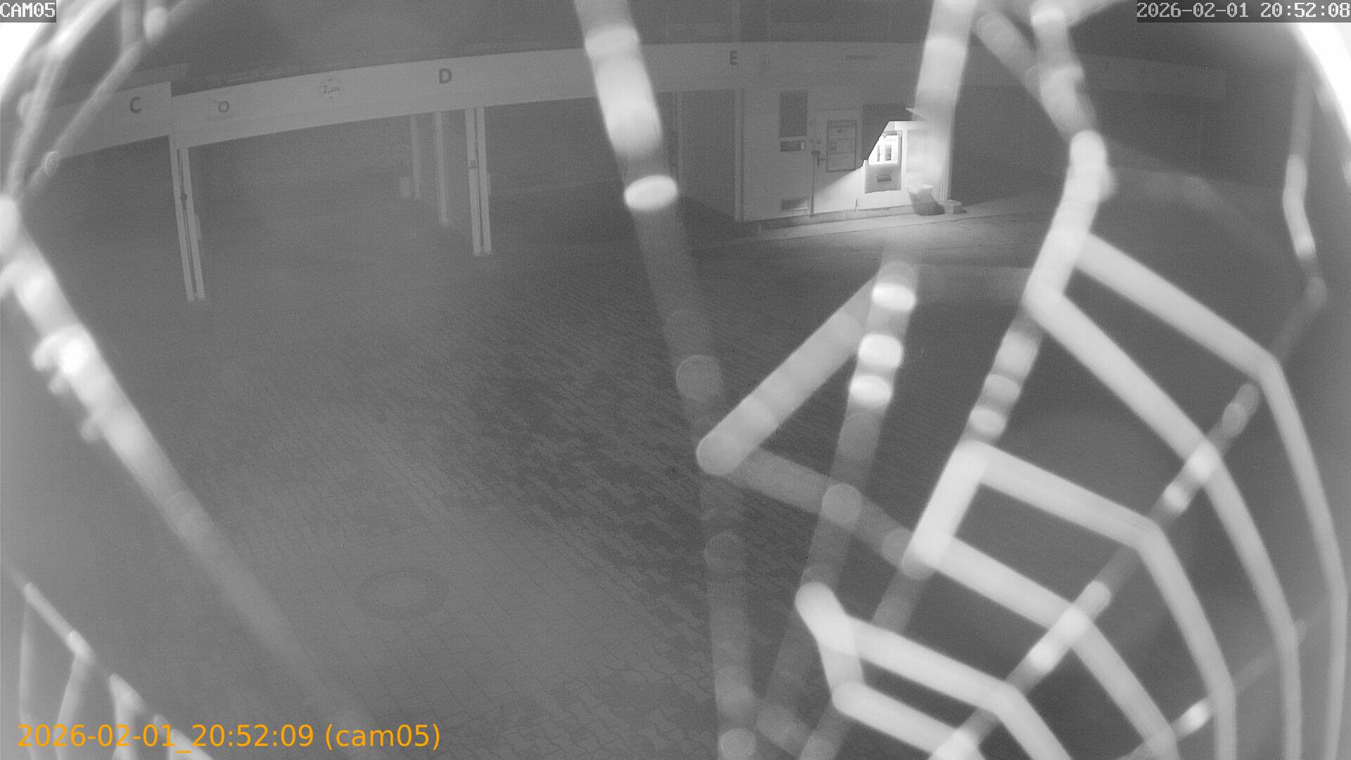 thumbnail_20260201205209