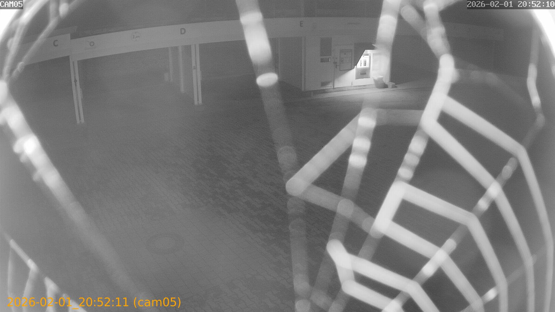 thumbnail_20260201205211