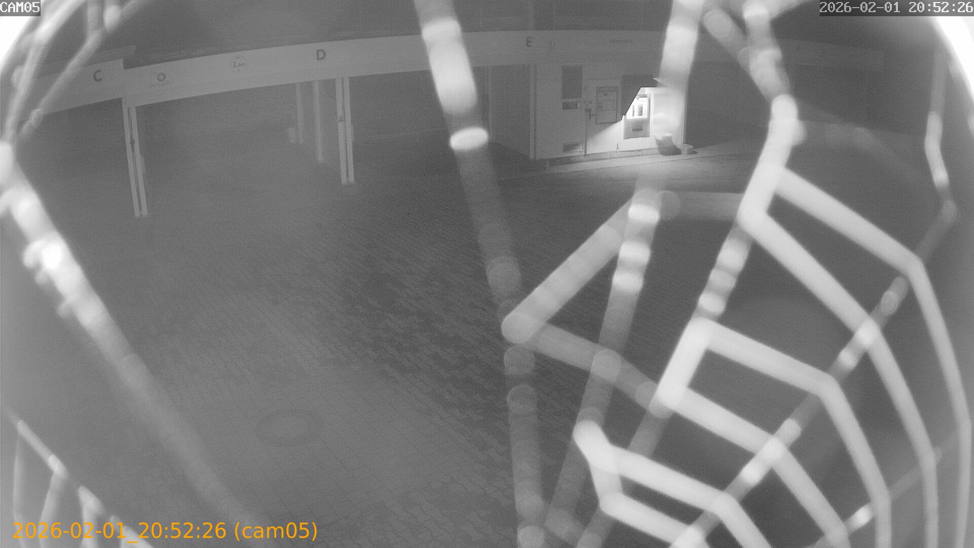 thumbnail_20260201205226