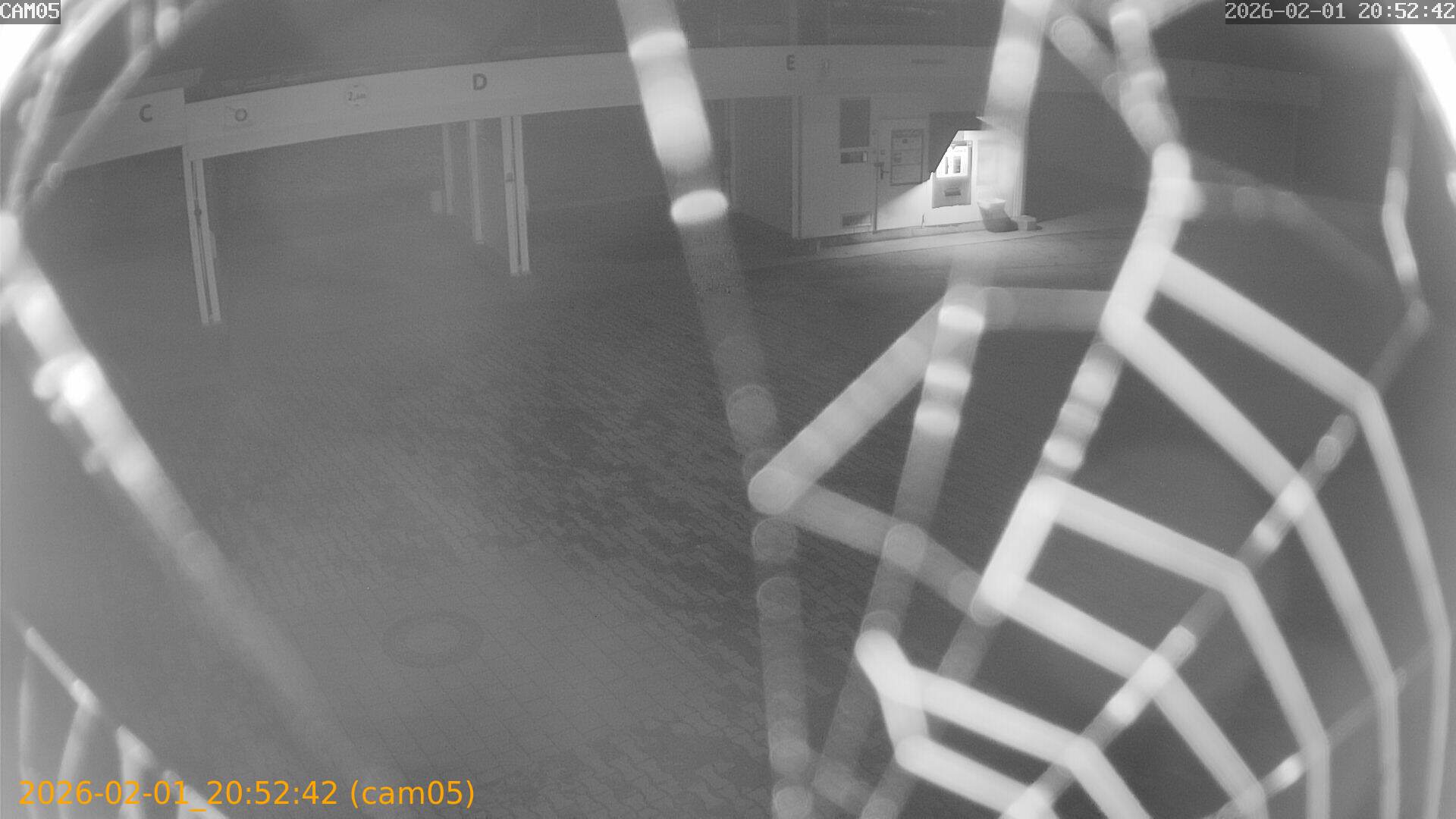 thumbnail_20260201205242