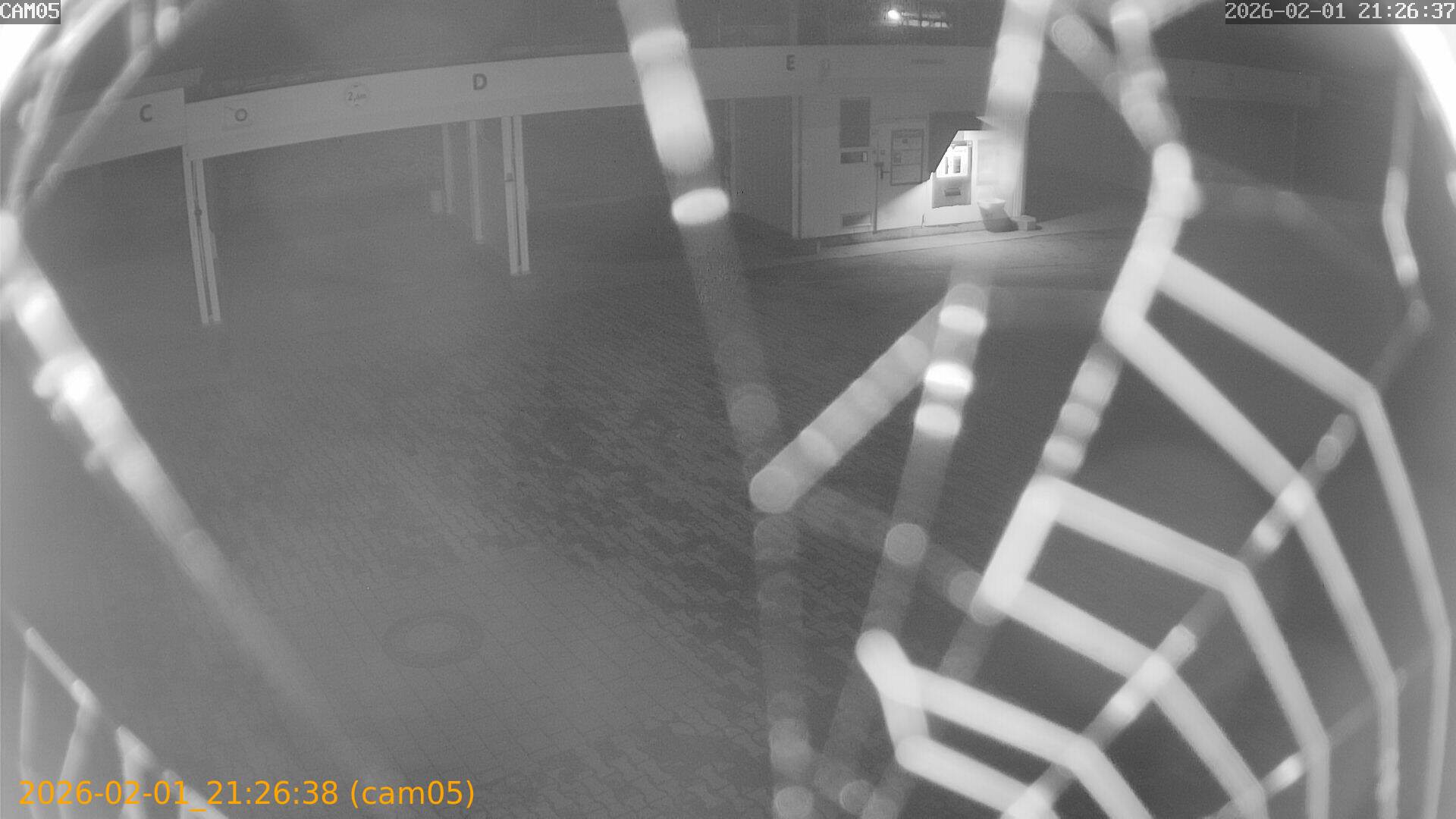 thumbnail_20260201212638