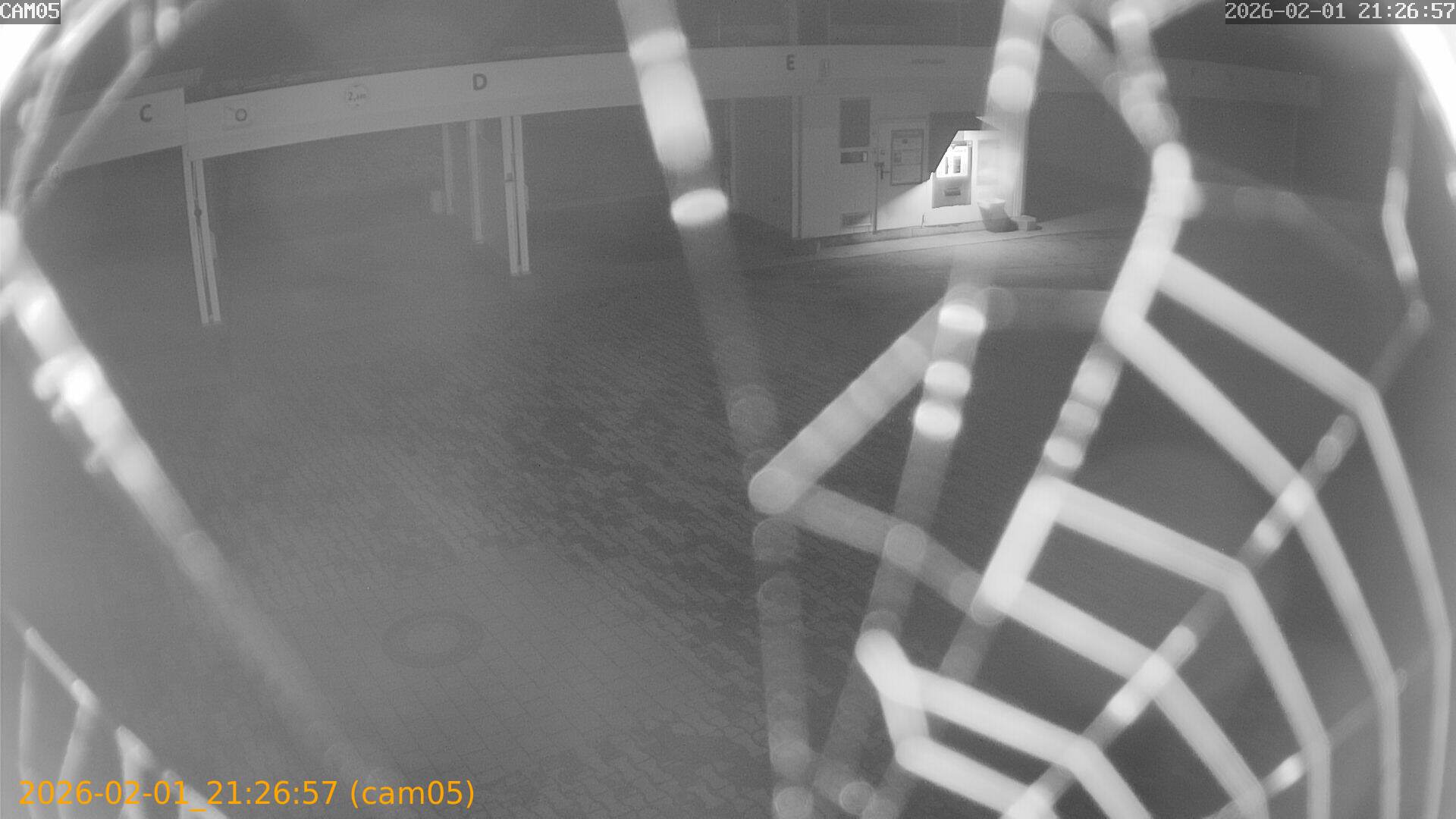 thumbnail_20260201212657