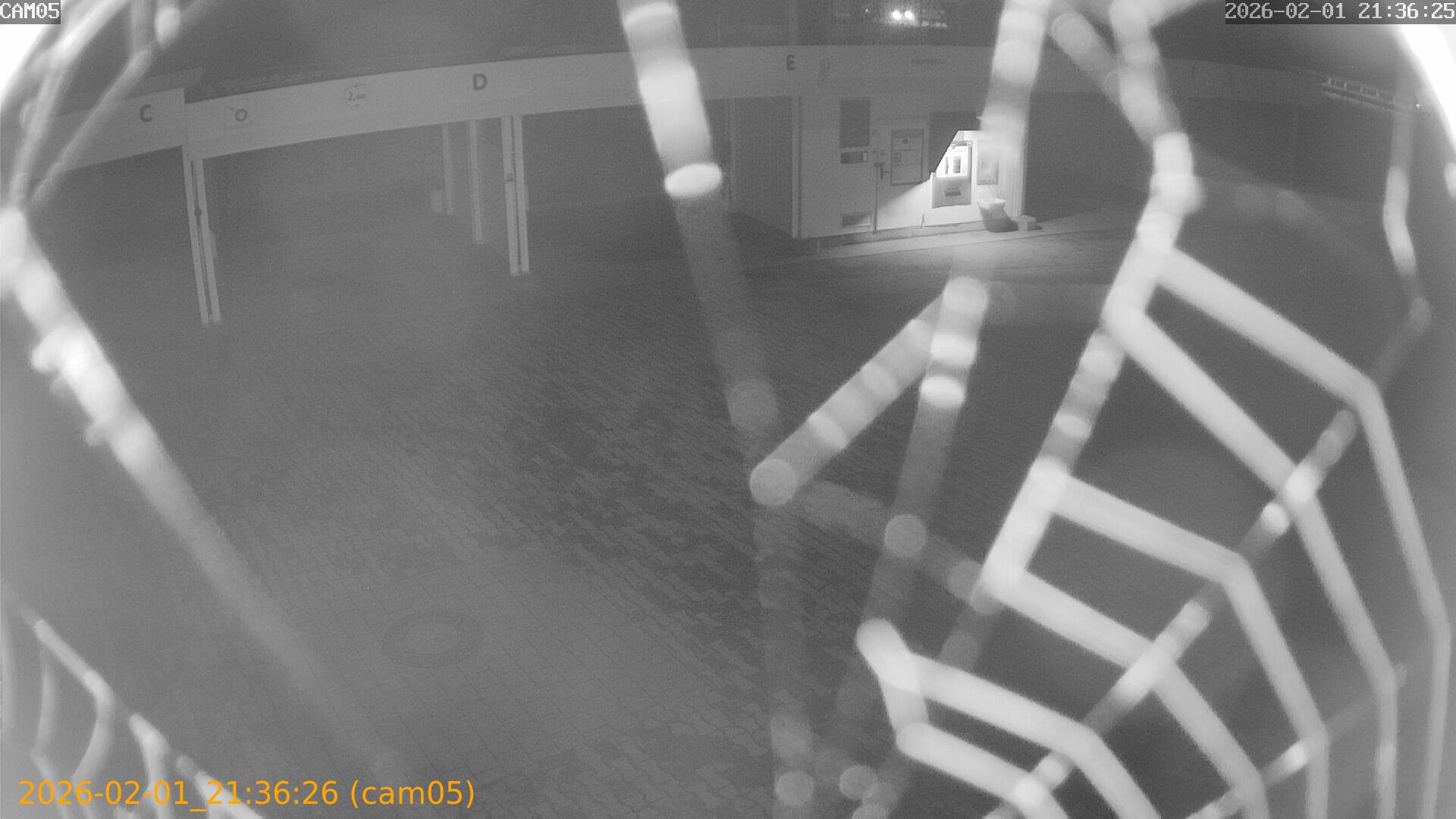 thumbnail_20260201213626