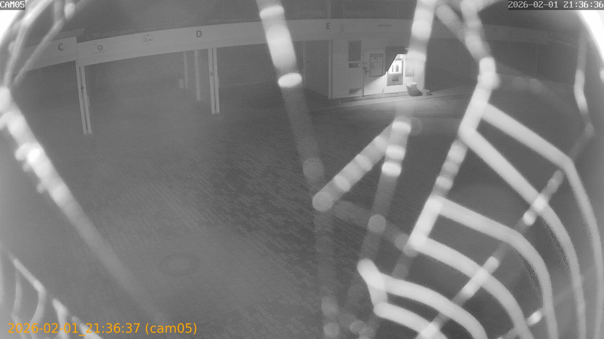 thumbnail_20260201213637