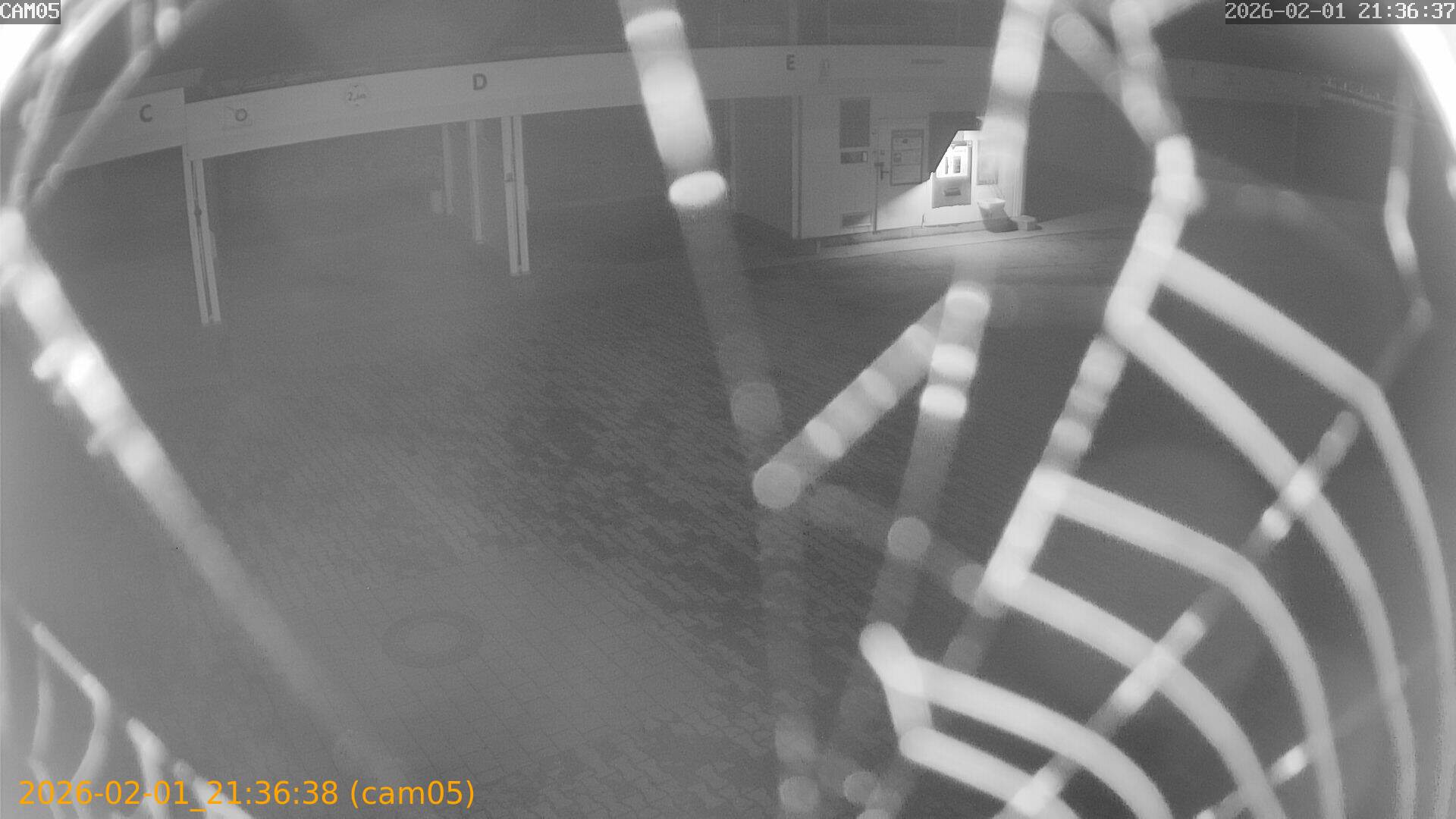 thumbnail_20260201213638