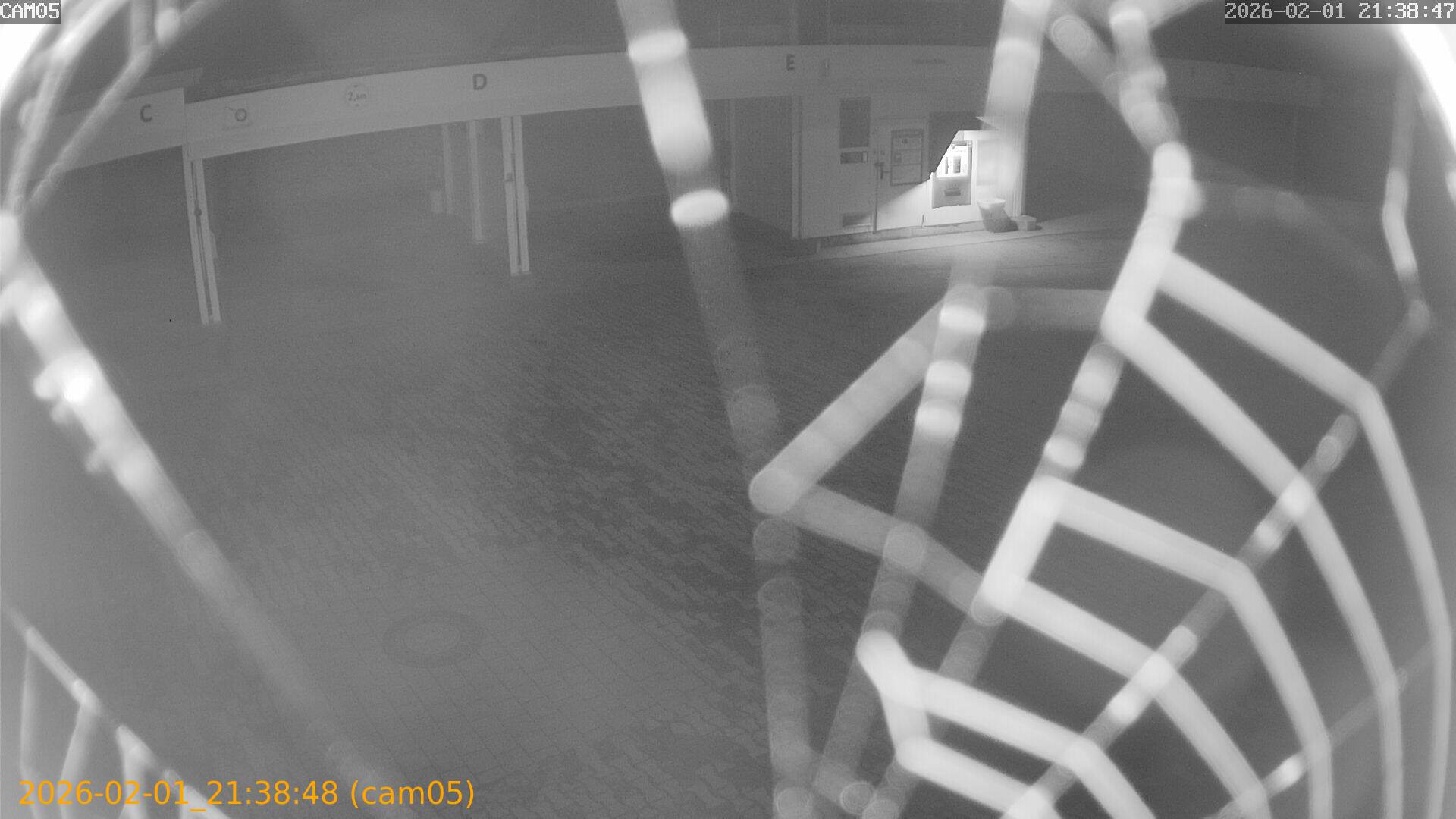 thumbnail_20260201213848