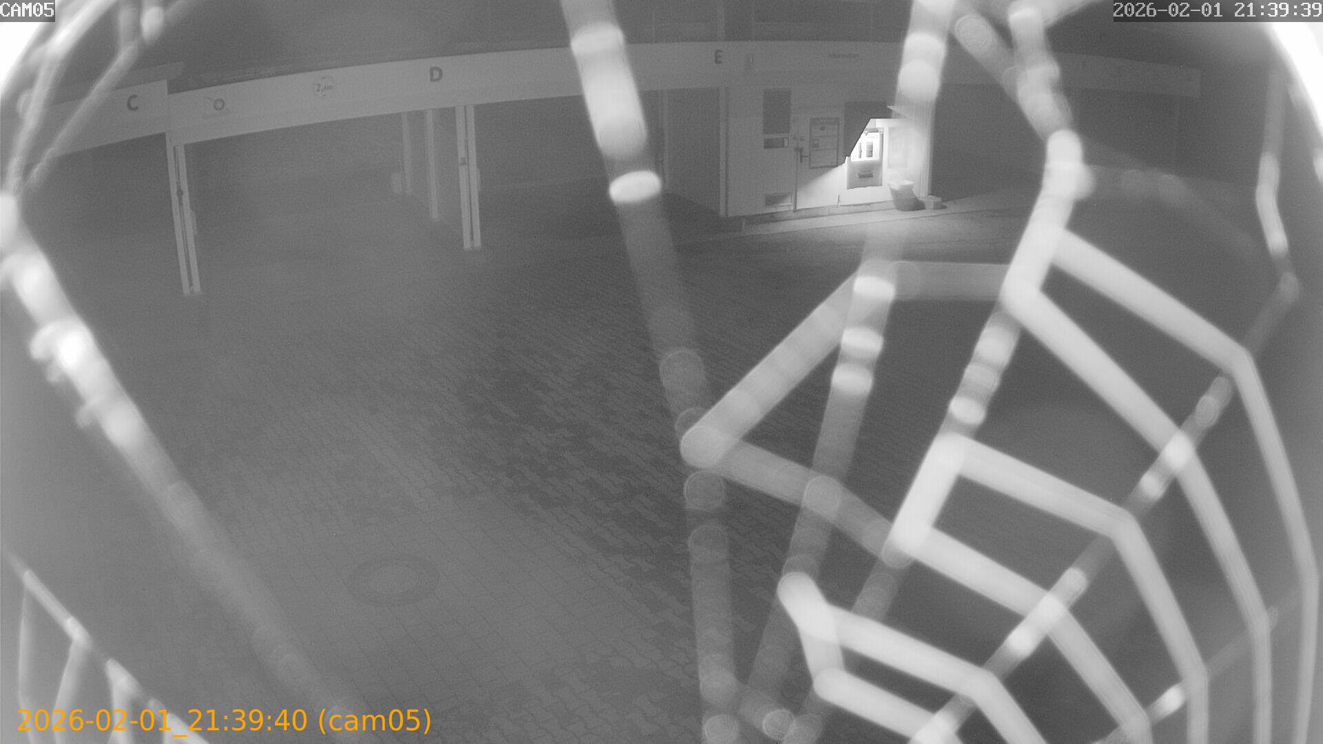 thumbnail_20260201213940