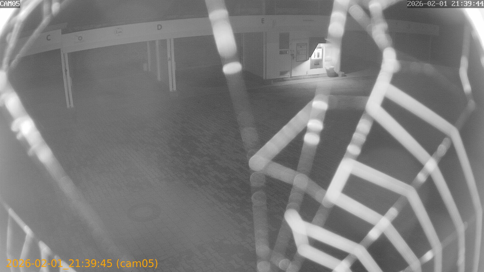 thumbnail_20260201213945