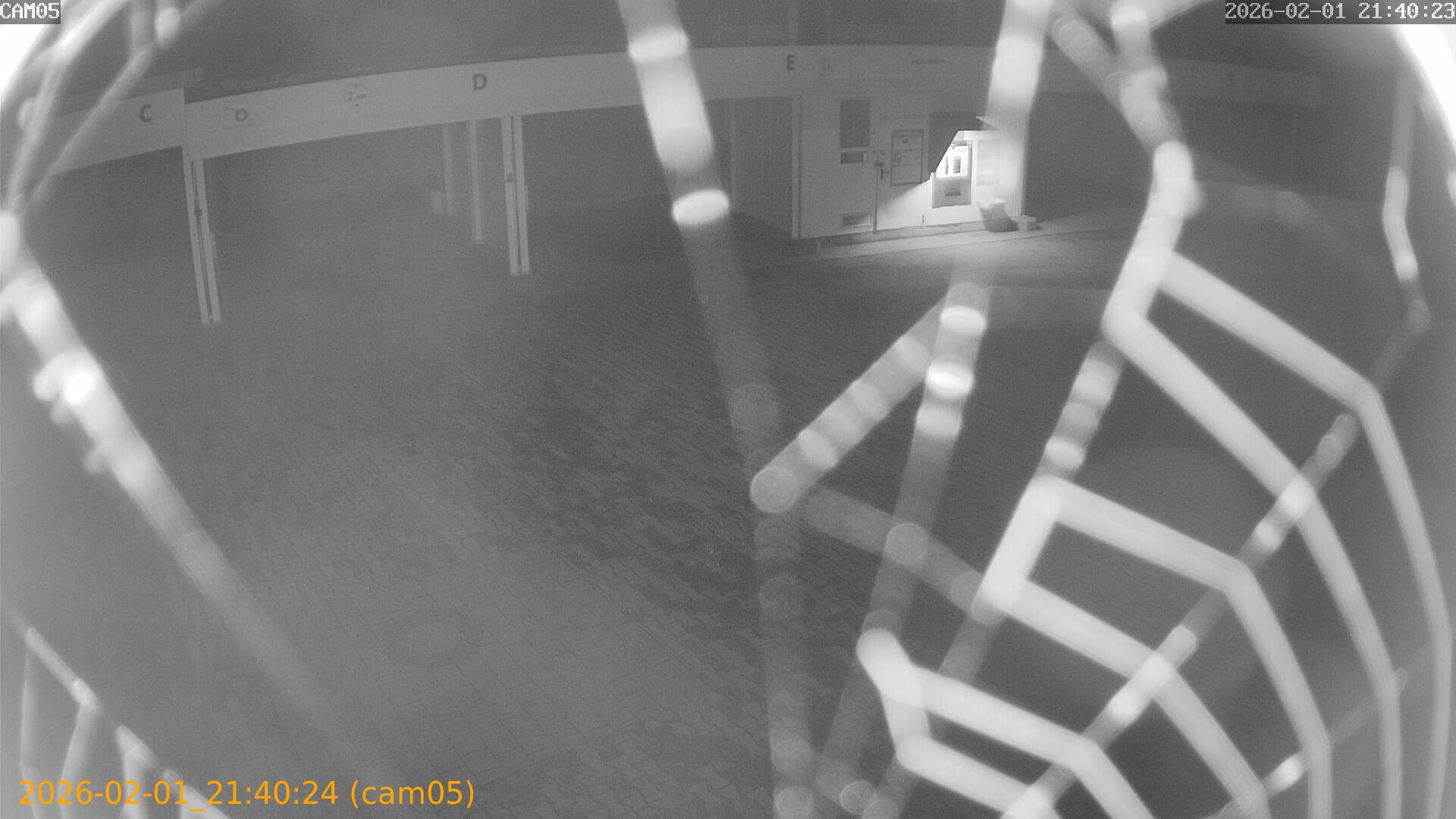 thumbnail_20260201214024