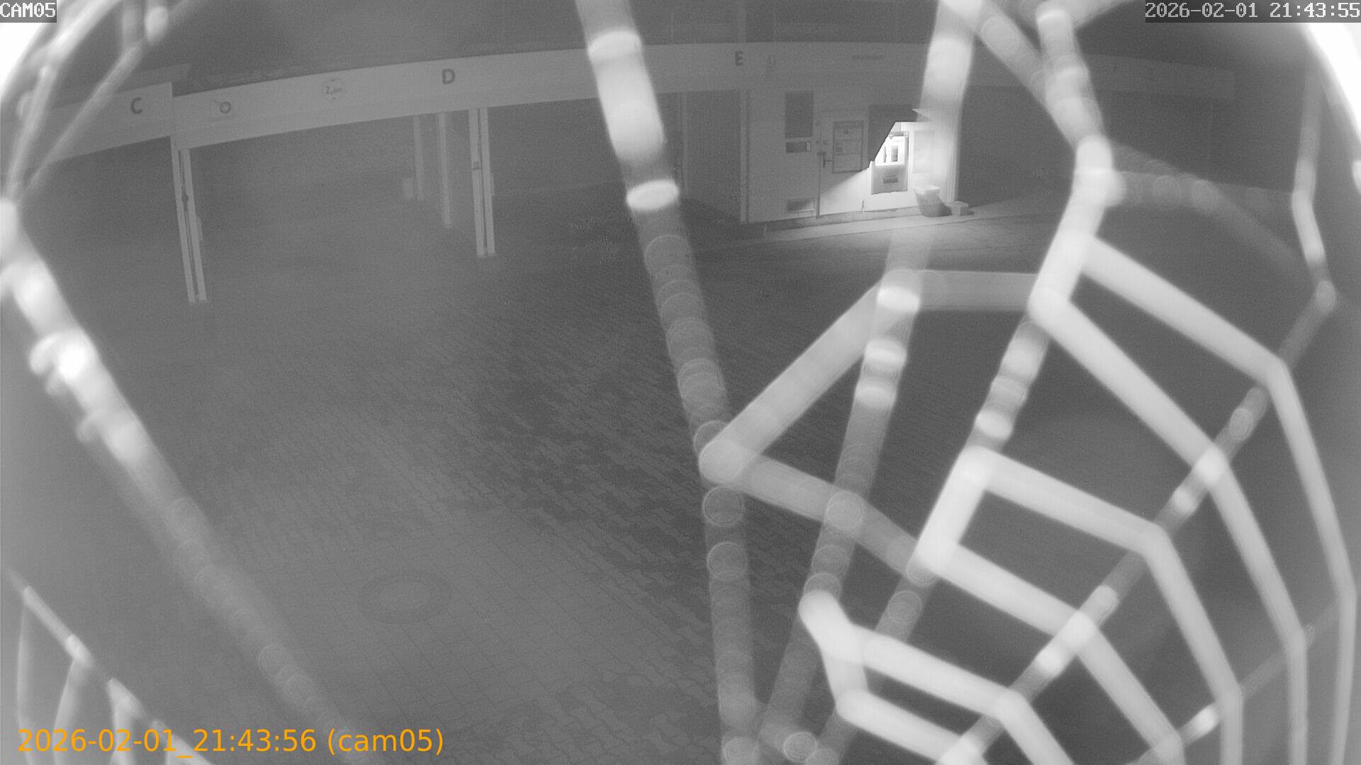 thumbnail_20260201214356