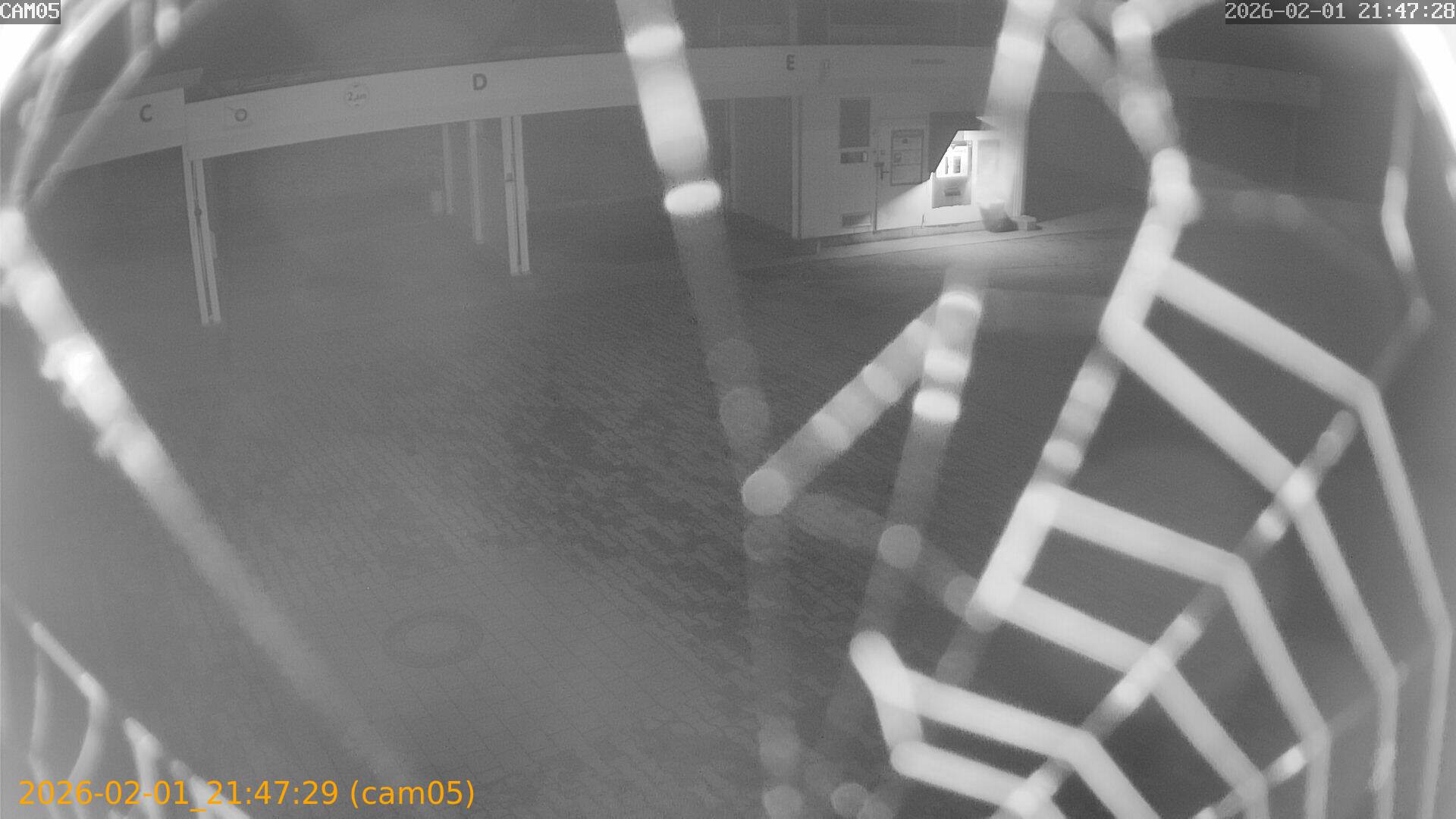 thumbnail_20260201214729