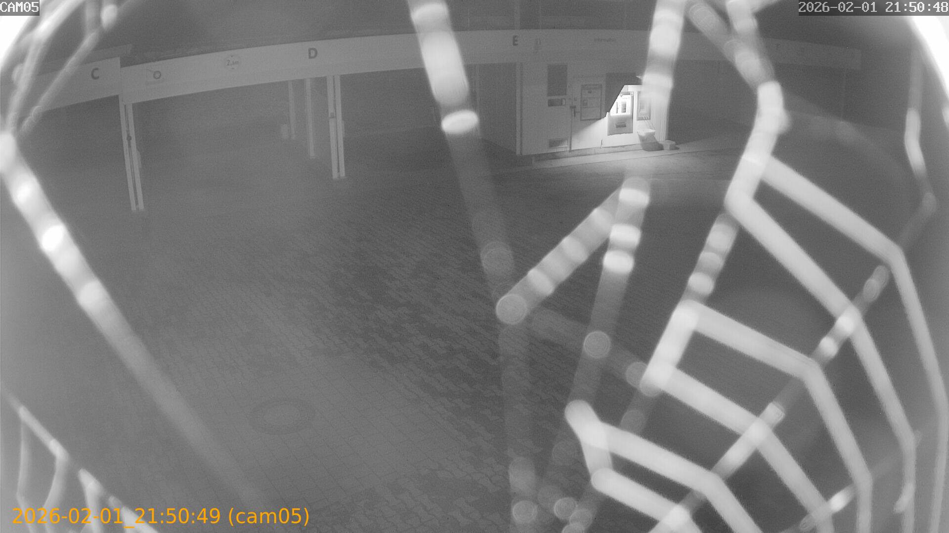 thumbnail_20260201215049