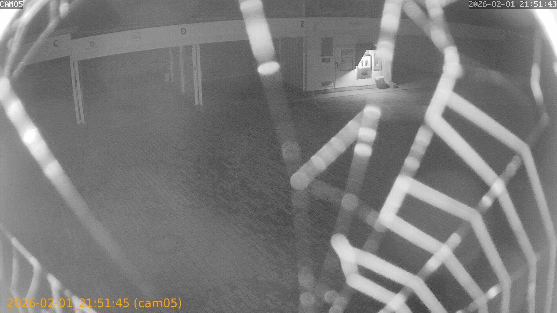 thumbnail_20260201215145