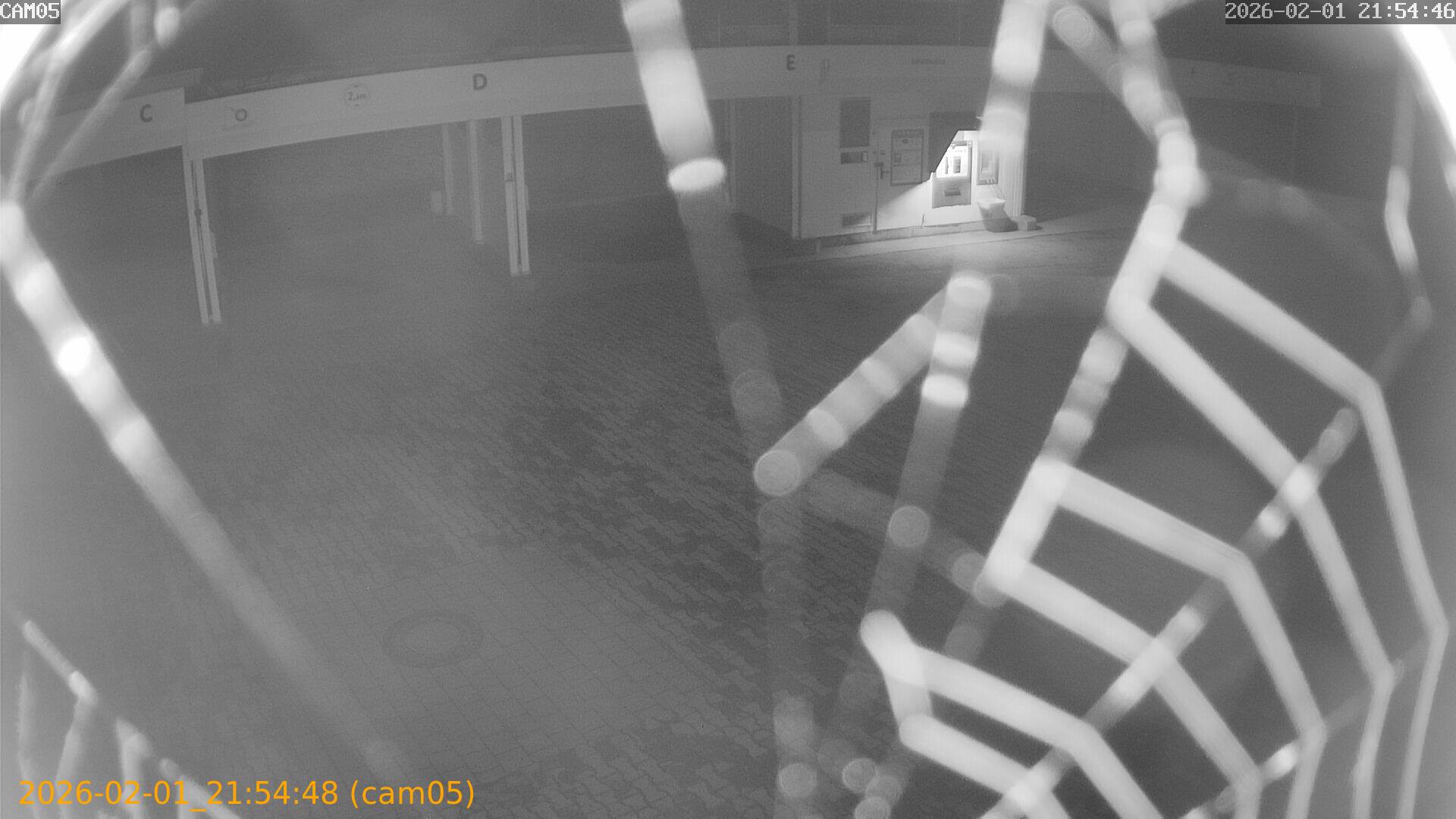 thumbnail_20260201215448