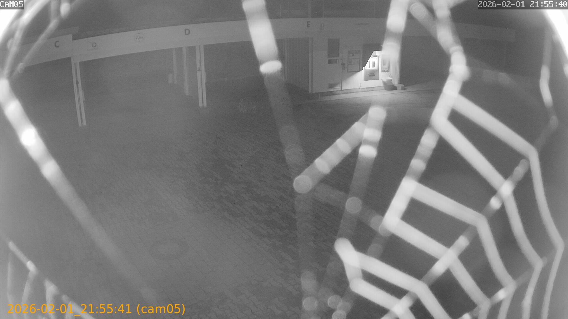 thumbnail_20260201215541