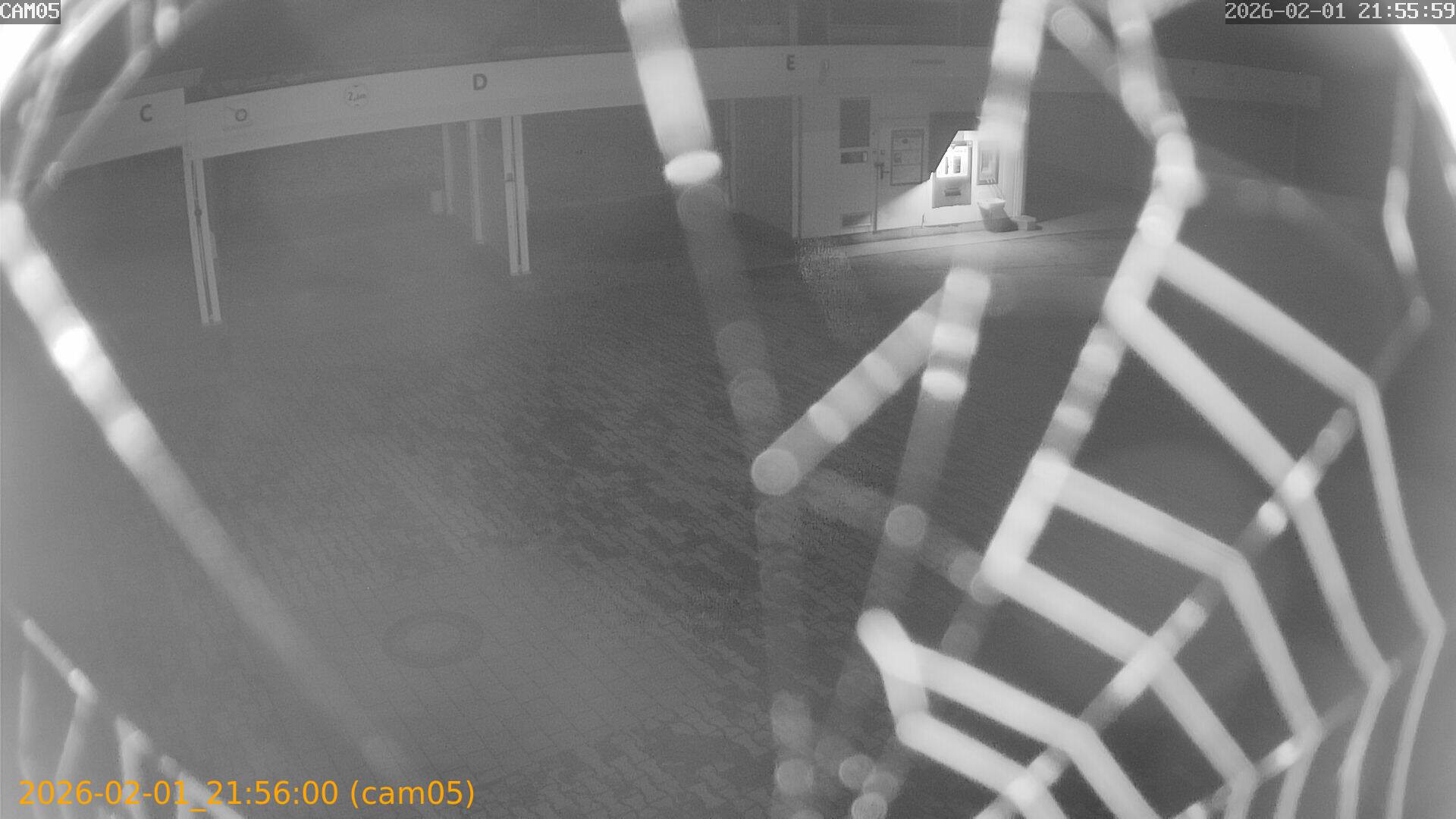 thumbnail_20260201215600