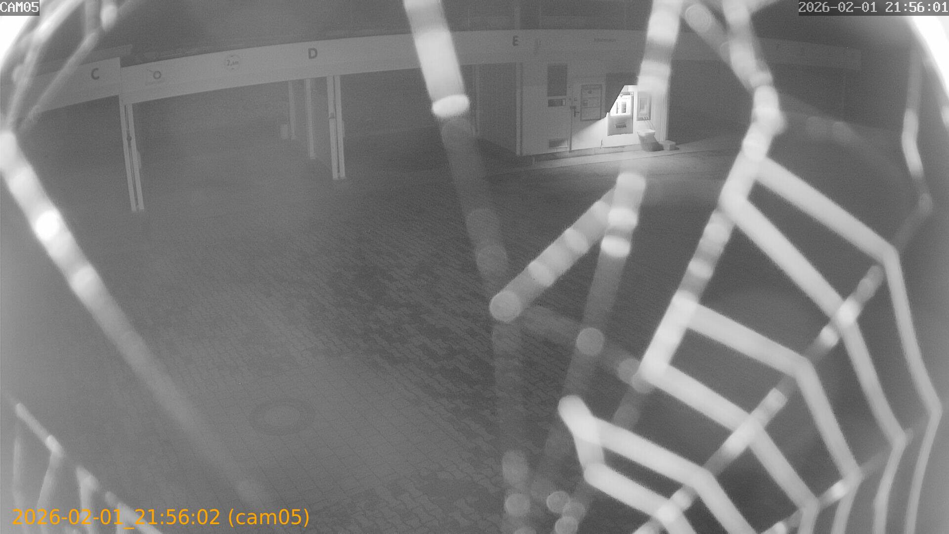 thumbnail_20260201215602