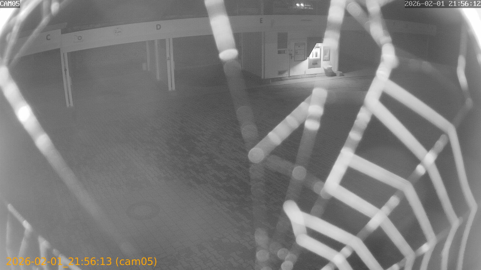 thumbnail_20260201215613