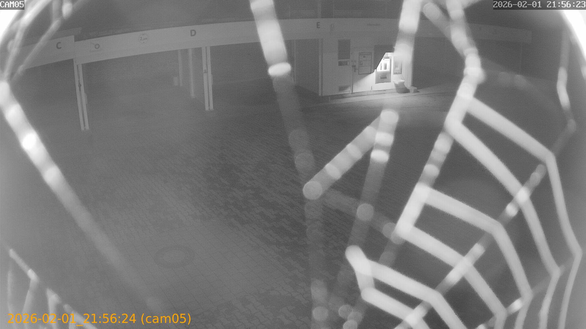 thumbnail_20260201215624