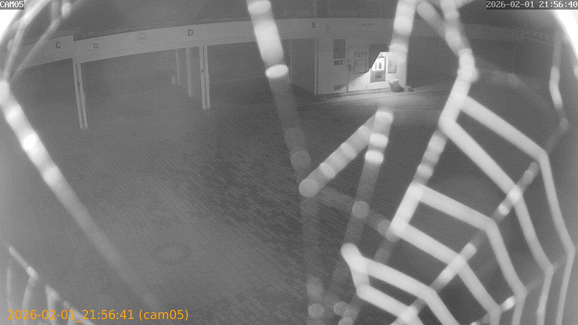 thumbnail_20260201215641