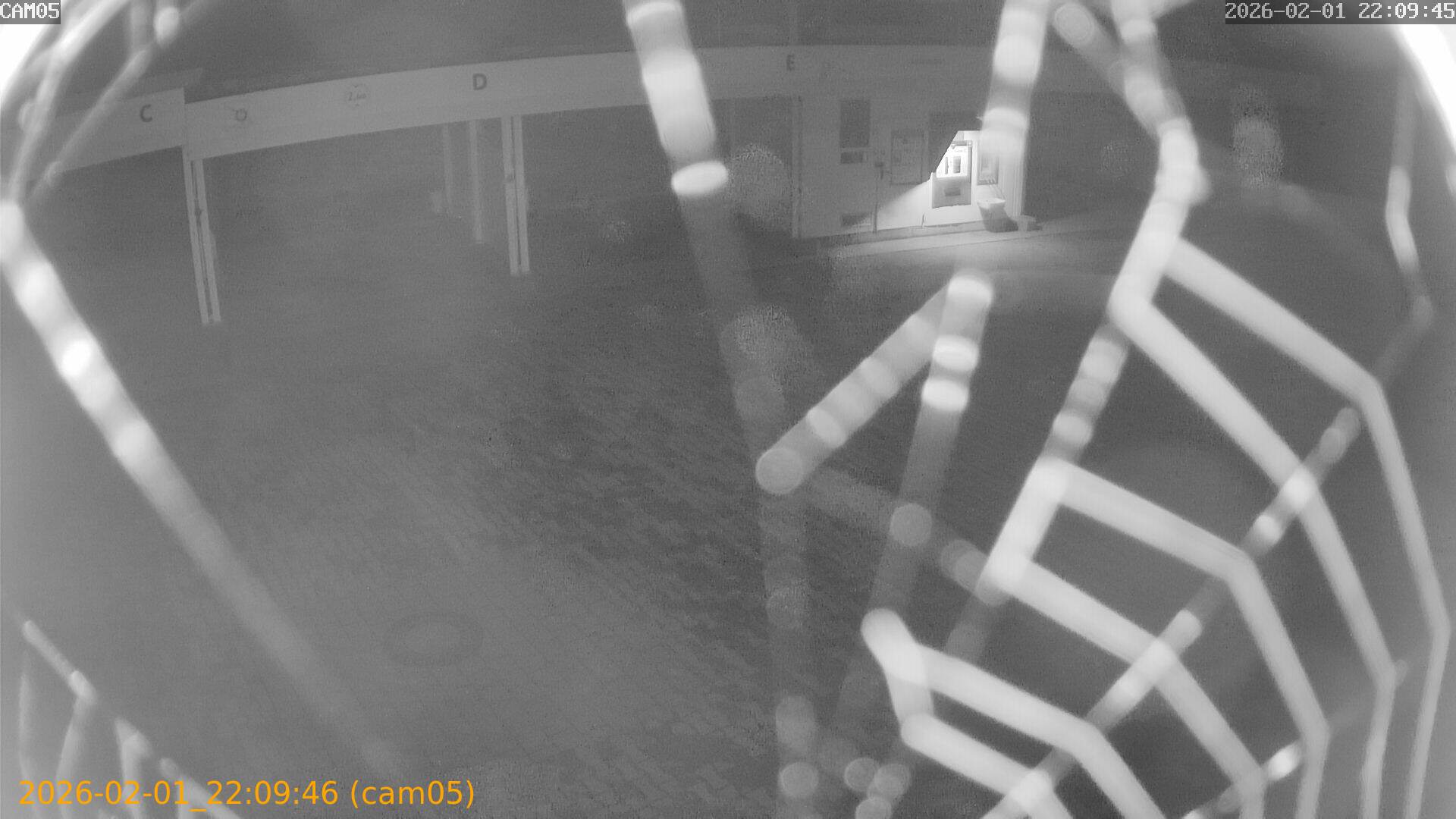 thumbnail_20260201220946