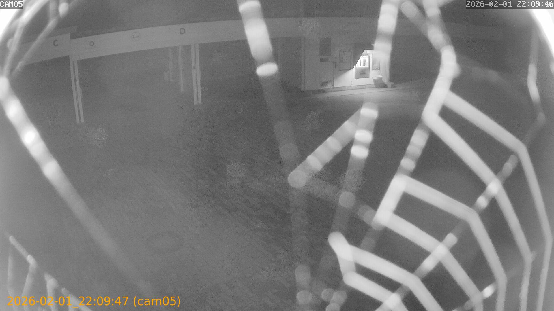 thumbnail_20260201220947