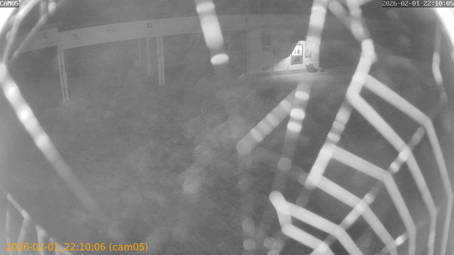 thumbnail_20260201221006