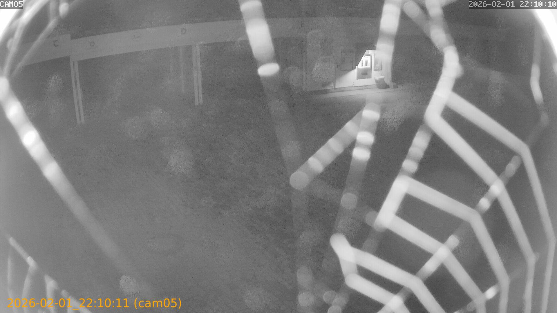 thumbnail_20260201221011