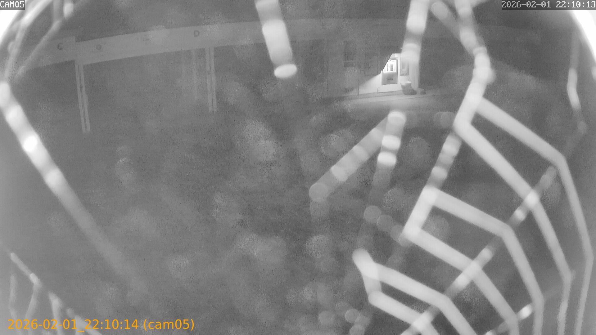 thumbnail_20260201221014